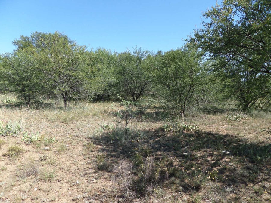 0 Bedroom Property for Sale in Oviston Eastern Cape